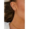 thumbnail image 2 of Stud Earrings for Women: Danty Tiny Starfish Turtle Shell Seahorse Octopus Nautilus Stud Ear Stack Earrings Set 14k Gold/White Gold Plated, 2 of 10
