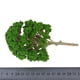 thumbnail image 5 of 15 piezas :1: 75 árboles de modelo para decoración de desierto de de arena, 5 of 9