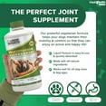 thumbnail image 3 of LIQUIDHEALTH Vegetarian Dog Glucosamine Joint Health Supplement Liquid Vitamin, 32 fl Oz, 3 of 7