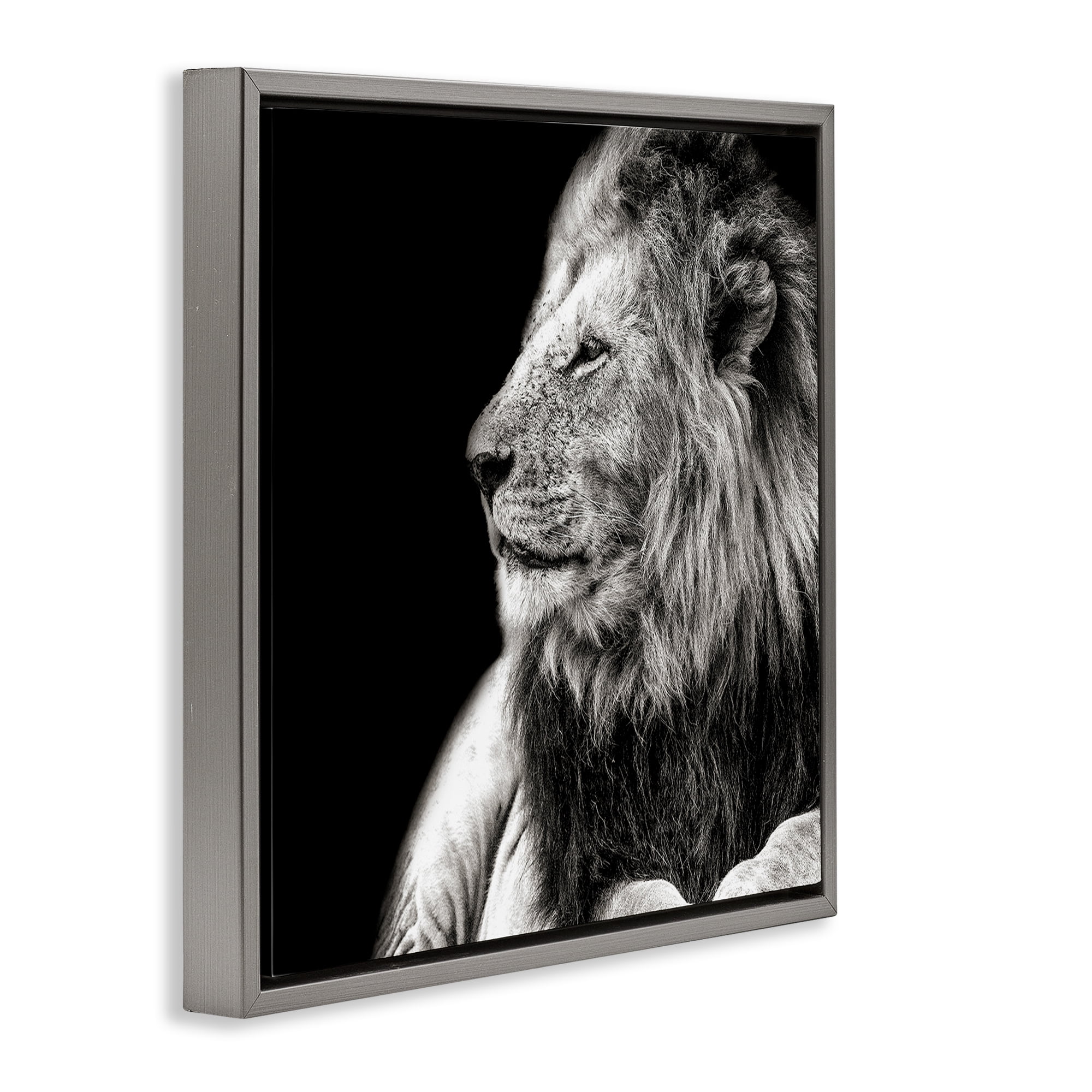 Stupell Industries Lion Portrait on Black Animals Photography Gray Floater Framed Canvas Art Print Wall Art, 18 x 18