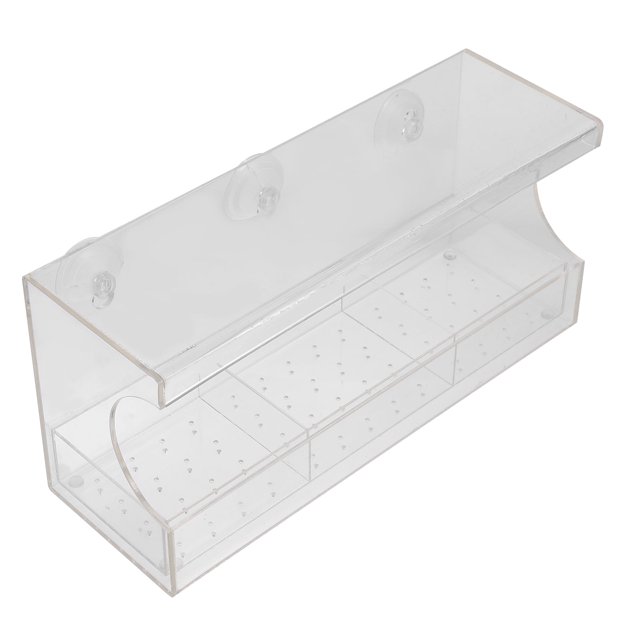 Comedero con ventosas para pájaros, contenedor para exteriores y patio trasero.