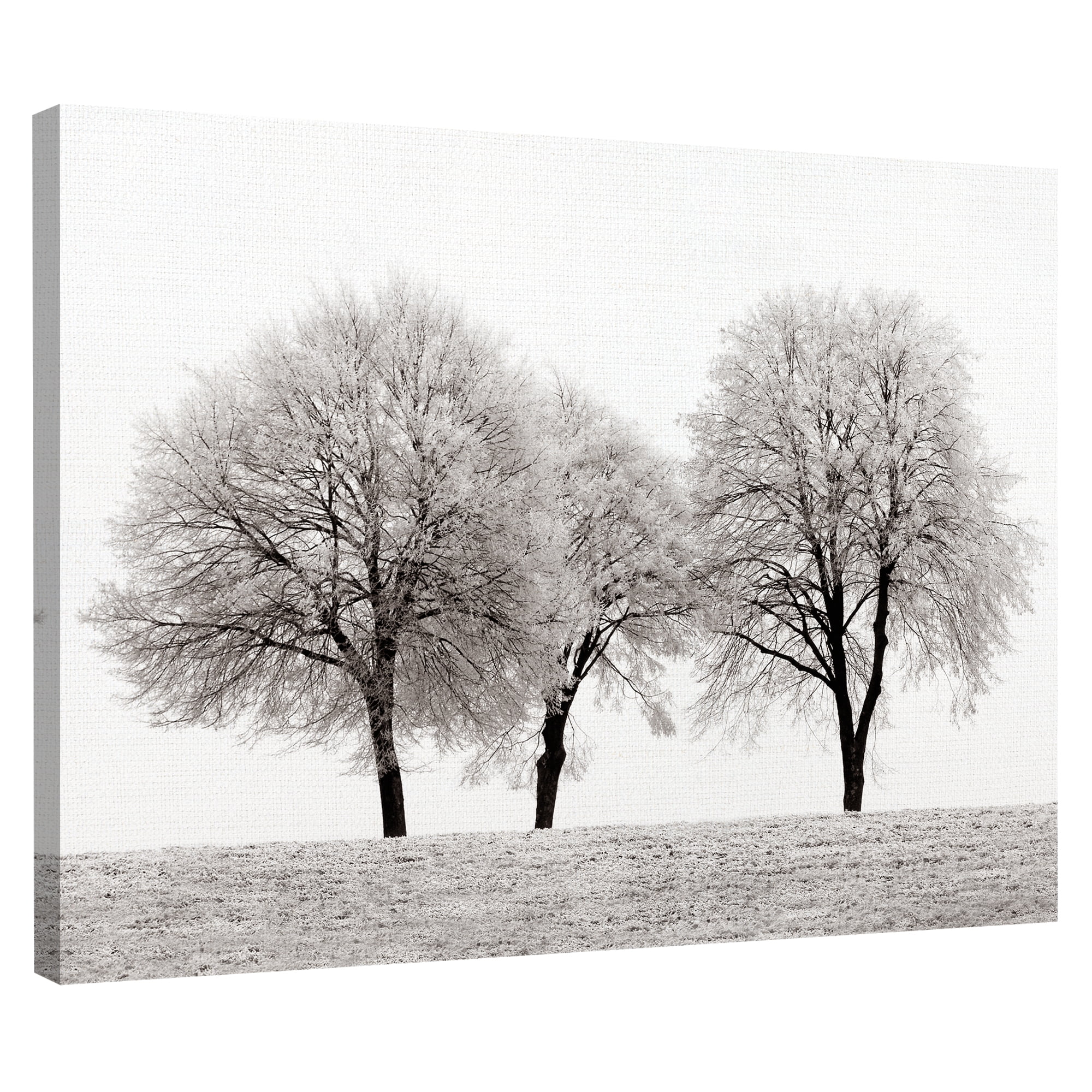 Masterpiece Art Gallery Three Trees By Ilona Wellmann Canvas Art Print 30" x 40"