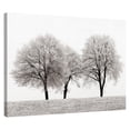 thumbnail image 2 of Masterpiece Art Gallery Three Trees By Ilona Wellmann Canvas Art Print 30" x 40", 2 of 2