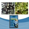 thumbnail image 5 of YFGEFTR Slow Release Hydrangea Fertilizer with Iron & Sulfur – Indoor & Outdoor Soil Acidifier for Miracle Growth, 5 of 8