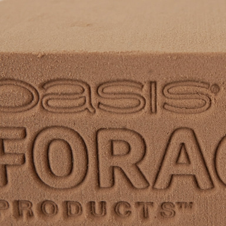 OASIS® Forage Floral Foraging Foam, Brown, 3 pack - Walmart.com