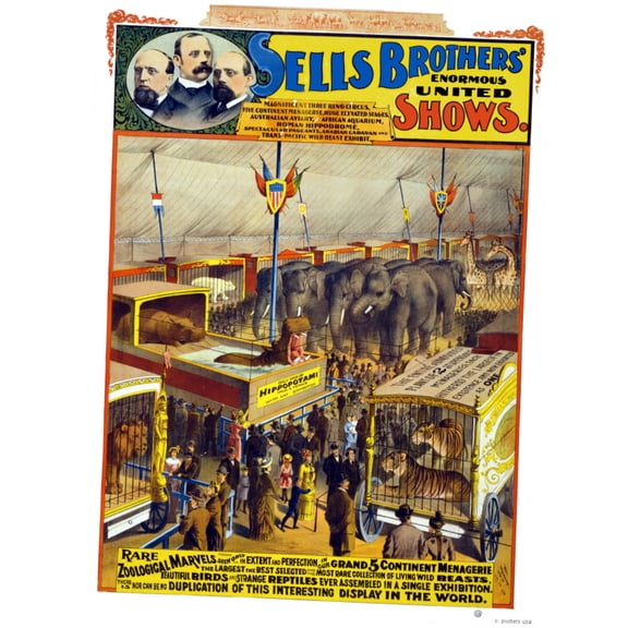Circus Mini Poster 11inx17in 11x17 poster