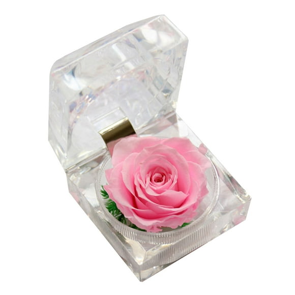 rosa eterna preservada, nunca marchita, regalo para San Valentín, cumpleaños y aniversario con caja de regalo (rosa)