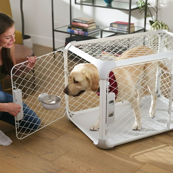 DIGGS Evolv Dog Crate, Safe, Durable Kennel with Removable Ceiling Panel and Modular, Ash, 35.5"