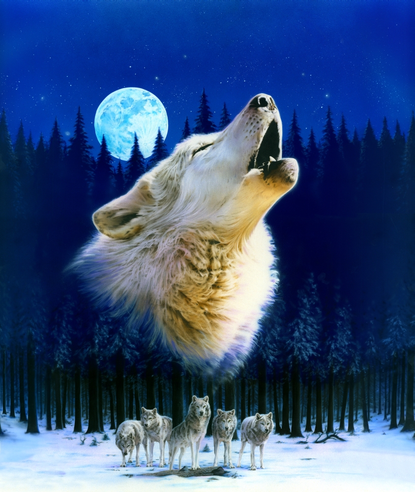 Howling Wolf Variant 1 Poster Print by Robin Koni (24 x 24)