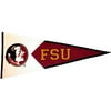 Florida State Classic Pennant