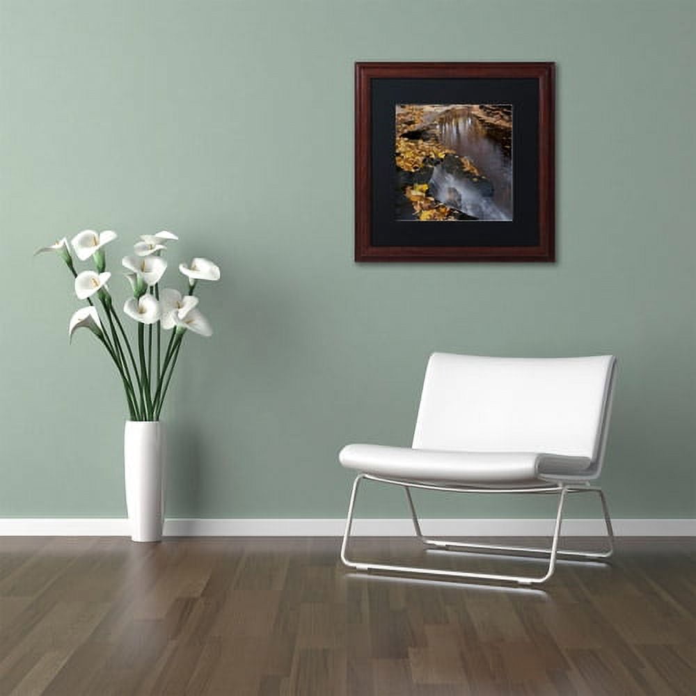 Trademark Fine Art "Lakeview Autumn Waterfall #2" Canvas Art by Kurt Shaffer Black Matte, Wood Frame
