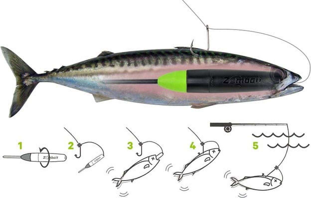 Ultimate Tackle Box Tool Zombait 3 Pack Deluxe Kit Live Bait Action When You Need It Most
