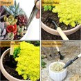 thumbnail image 5 of Herramientas suculentas, tapetes para plantas de jardinería, mini herramientas de jardinería, perfectas para los amantes de la jardinería suculenta, 14 piezas TUNC Sencillez, 5 of 5