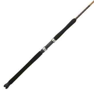PENN Prevail II 9'. Surf Spinning Rod; 2 Piece Fishing Rod