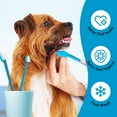 thumbnail image 5 of BOSHEL Dual-Headed Dog Toothbrush Pack, 2 Long-Handled Brushes + 1 Finger Toothbrush, 5 of 9