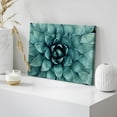 thumbnail image 4 of HFDF Canvas Prt Wall Art Closeup of Teal Rose Succulent Floral Plants Photography Realism Rustic Scenic Colorful Multicolor Ultra for Livg Room, Bedroom, Office - 24x16inch Framed, 4 of 6