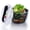 Black, variant on Vesteel Salad Spinner, Manual Lettuce Spinner with Large 5 Quart Capacity Bowl and Colander Basket