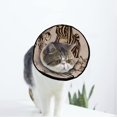 thumbnail image 1 of Collier de Récupération pour Chat et Chien, Cône Ajustable, Protection après Chirurgie pour Chaton et Petits Chiens, 1 of 7