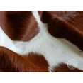 thumbnail image 3 of Brown and White Cowhide Rug 6 x 7' approx., 3 of 3