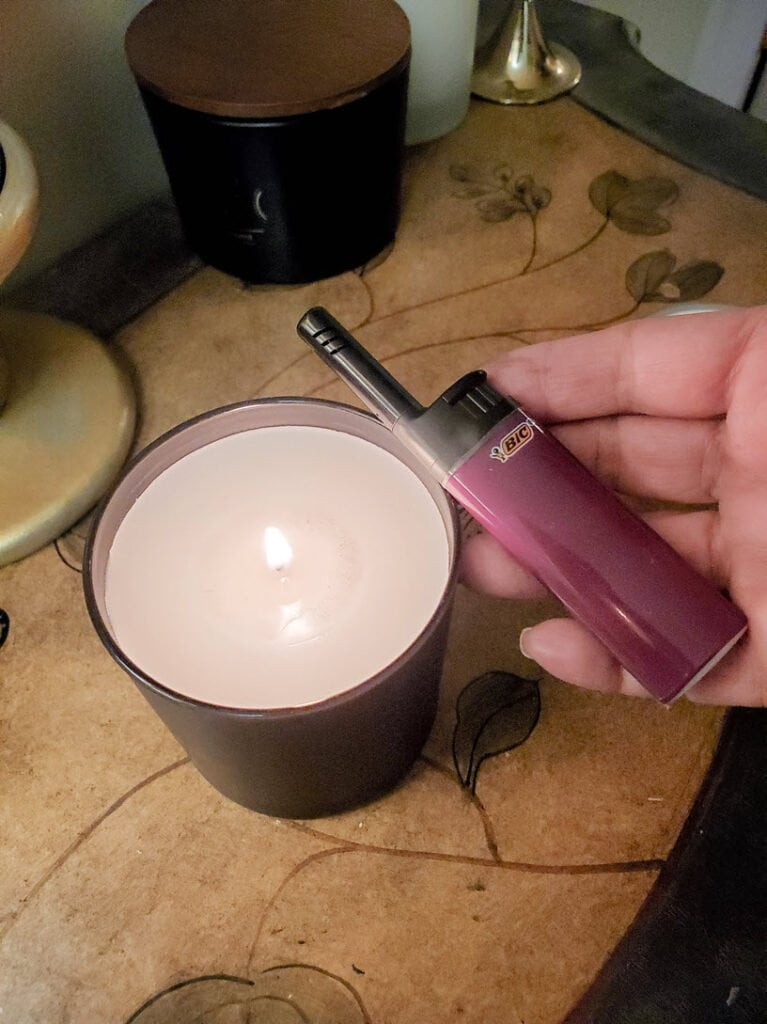 BIC EZ Reach Lighter