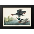 thumbnail image 2 of Audubon, John James 14x11 Black Modern Framed Museum Art Print Titled - Pl 401 Red-breasted Merganser Duck, 2 of 5