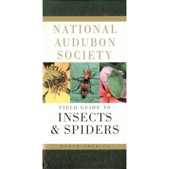 Pre-Owned National Audubon Society Field Guides: National Audubon Society Field Guide to Insects and Spiders : North America (Hardcover)