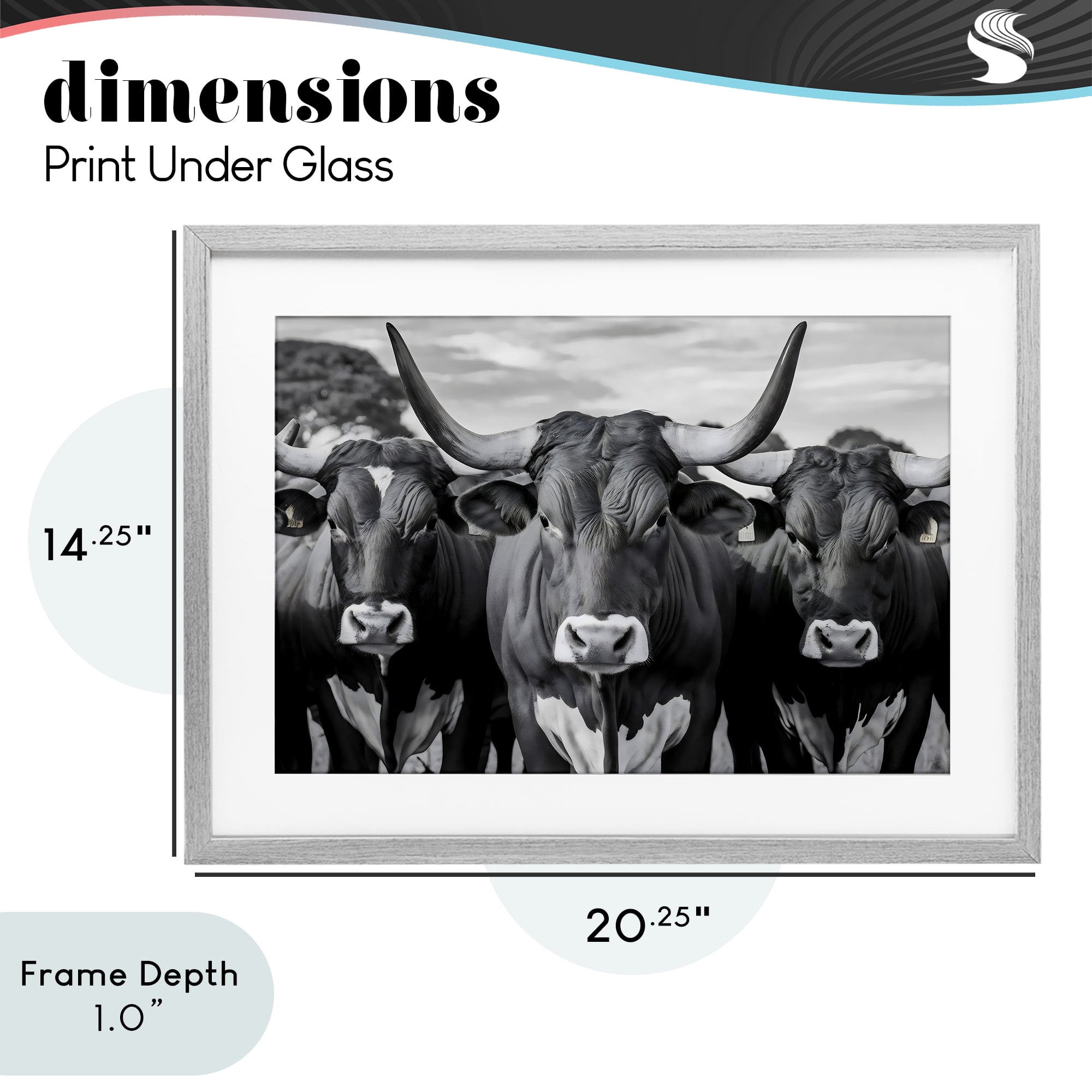 Stupell Industries Three Longhorns in a Row Gray Framed Print Under Glass, design by Creative Studio