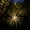 Warm White, variant on Hanging Firework Light 8 Mode Remote Control Battery Powered Fairy Light,Decoration Lights For Garden,Yard,Holiday,Wedding,Party