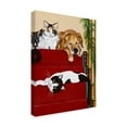 thumbnail image 2 of Trademark Fine Art 'Sleeping On The Steps' Canvas Art by Jan Panico, 2 of 3