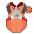 thumbnail image 2 of All Star Adult Phx Paige Halstead Fastpitch Softball Chest Protector (Medium) Red/White/Blue, 2 of 3