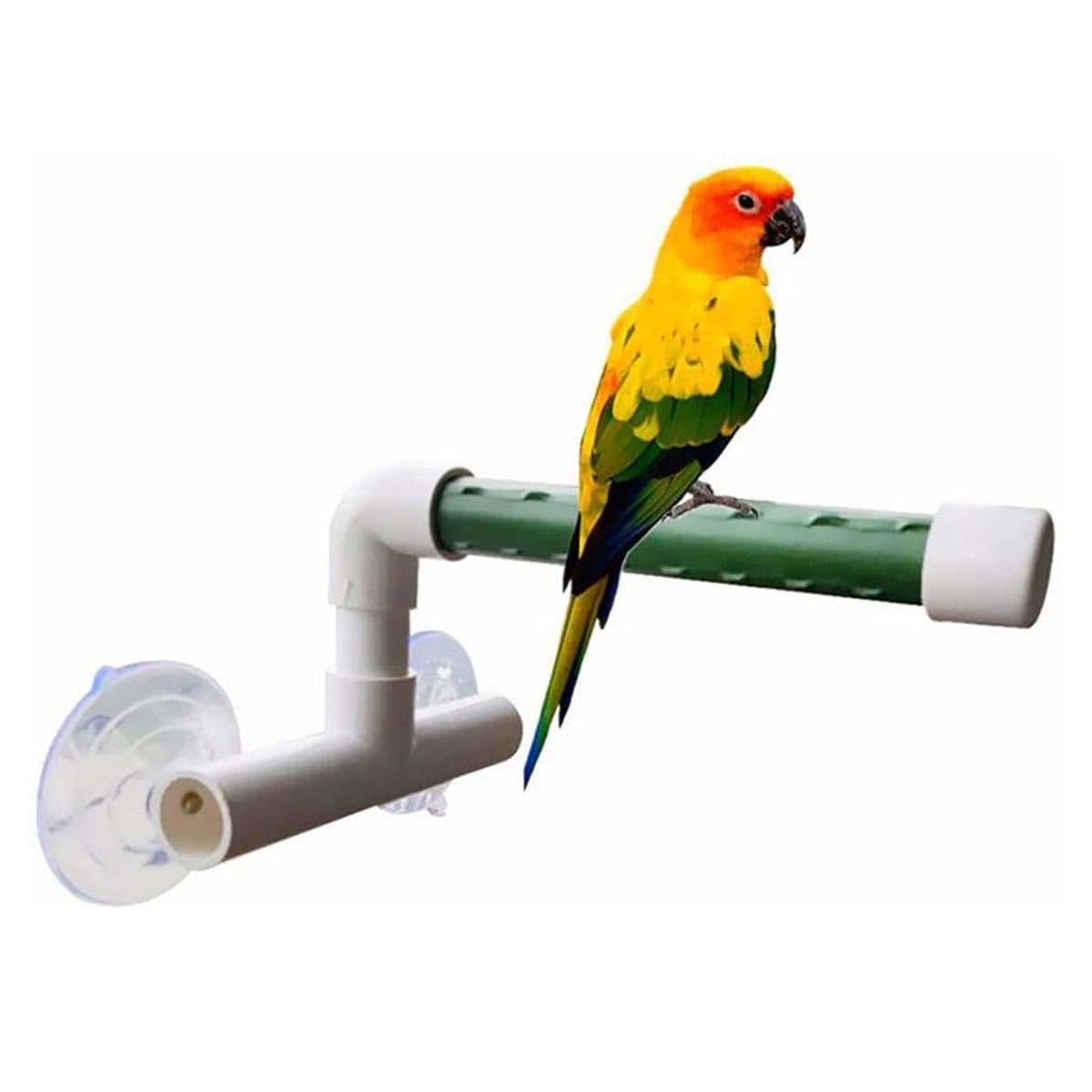 Pet Enjoy Bird Parrot Stand Perch Shower Perch Standing Toy,Portable