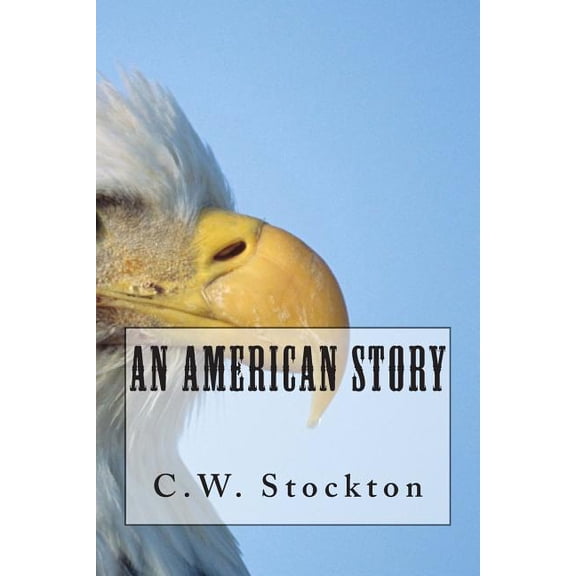 An American Story (Paperback)