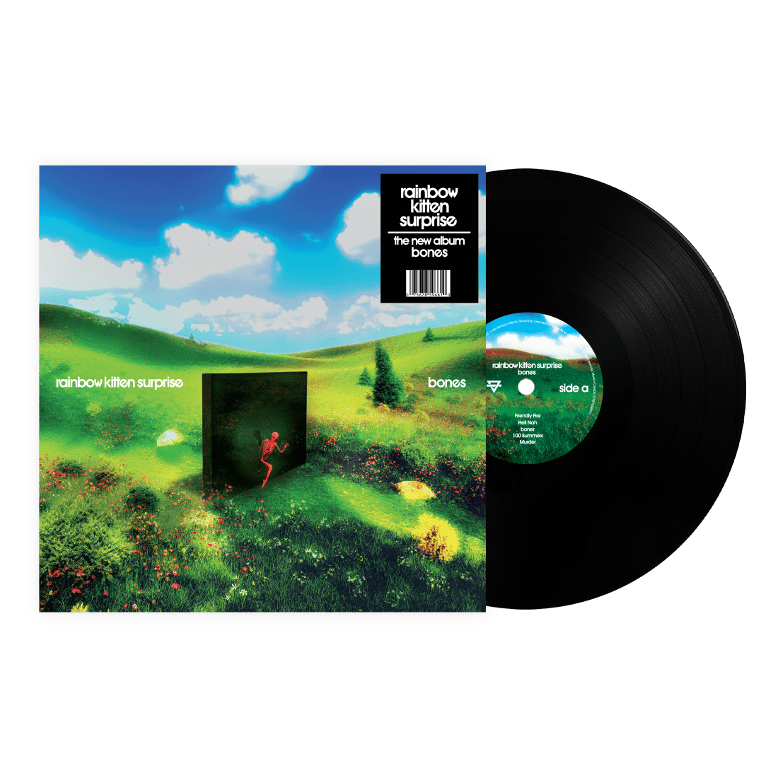 Rainbow Kitten Surprise - bones (Black Vinyl) - Music & Performance