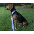 thumbnail image 3 of Country Brook Petz® Martingale Heavyduty Nylon Dog Collar and Double Handle Leash - Lavender - Extra Large, 3 of 7