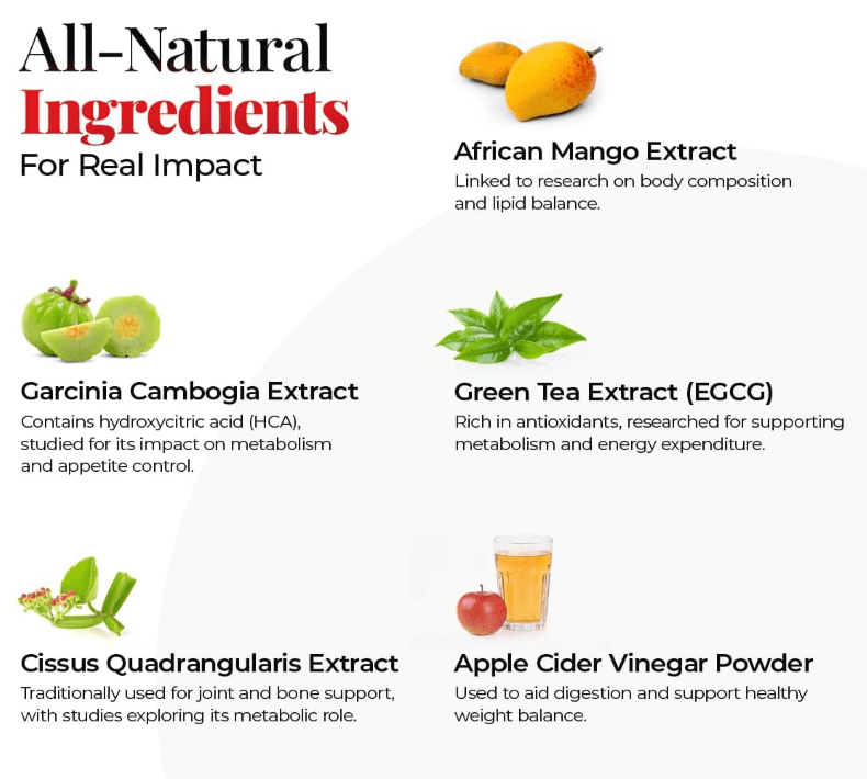 Healthful Seasons Extreme Belly Burn Supplement – Garcinia Cambogia, African Mango, ACV & Green Tea – Supports Fat Burn, Metabolism & Appetite Control – 60 Capsules