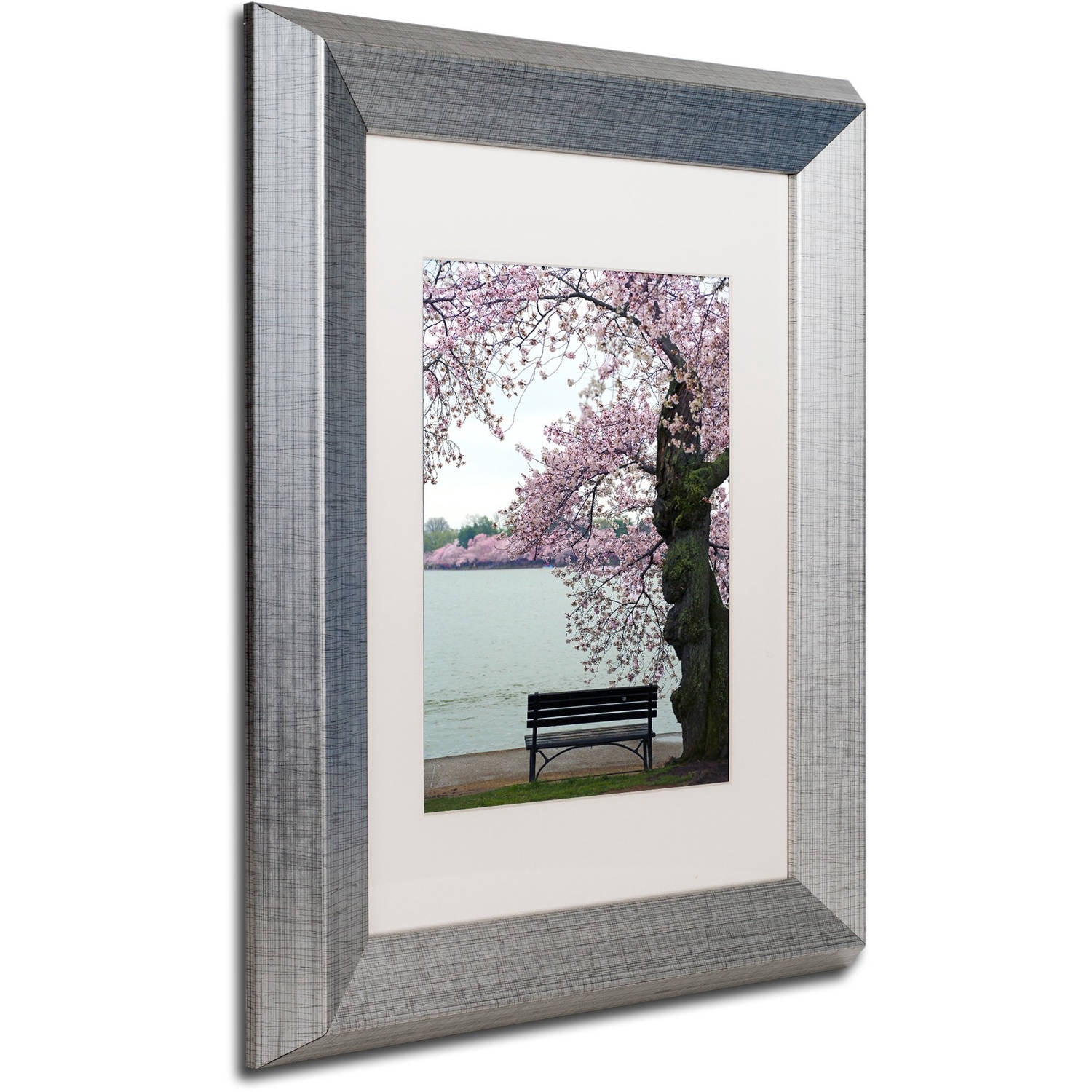 Trademark Fine Art "Tranquility" Canvas Art by CATeyes, White Matte, Silver Frame