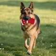 thumbnail image 4 of Chew Toys for Dogs - Robust Cuddly Dog Socks for Interactive and Chewing, 4 of 4