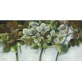 thumbnail image 2 of Withaar, Rian 18x11 Black Ornate Wood Framed with Double Matting Museum Art Print Titled - GREEN HYDRANGEAS, 2 of 4