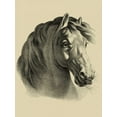 thumbnail image 2 of Vision Studio 25x32 Black Ornate Wood Framed with Double Matting Museum Art Print Titled - Equestrian Portrait II, 2 of 4
