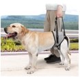 thumbnail image 4 of Tailup Arnés De Soporte Para Patas Traseras De Perro, 4 of 6