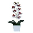 thumbnail image 2 of 1 Pot of Simulated Phalaenopsis Set Artificial Flowers in Pot Decor Orchid Flower Arrangements Faux Flowers Bouquets in Pot Table Centerpieces Holiday Dinning Coffee Room Table Kitchen Decoration, 2 of 9