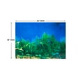 thumbnail image 3 of Tide & Treasure Double Sided Aquarium Background, Aquatic Plant And Solid Blue, up to 29 Gallon Tank, 3 of 8