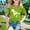 Green, variant on Gzbliryd Easter Cute Bunny Shirt Leopard Rabbit Tshirt Cute Rabbit Graphic Tees Funny Bunny Rabbit T Shirt for Boys Girls Soft and Breathable Summer Dailywear Clothing (Green,12-13 Years)