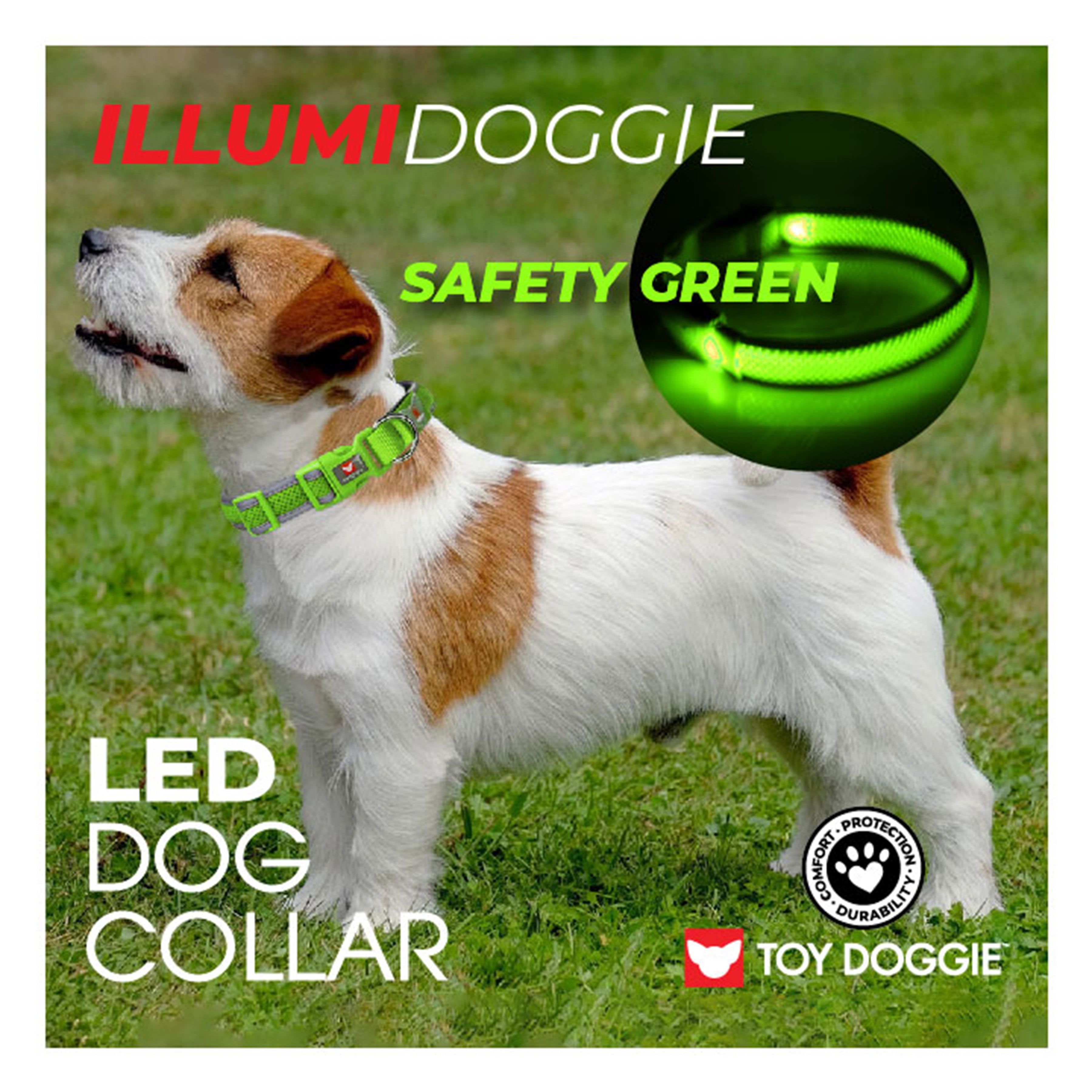 Illumidoggie LED Dog Collar L - Safety Green for Large Dogs from Toy Doggie Brand