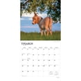 thumbnail image 3 of Donkeys | 2026 12x24" (Hanging) Square Wall Calendar | Plastic-Free, 3 of 9