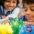 thumbnail image 3 of BBC Earth Science of Crystal Growing Kit, STEM Chemistry Experiment Set for Kids and Teens, Ages 12+, 3 of 6