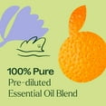 thumbnail image 5 of Plant Therapy Tranquil Essential Oil Blend 100% Pure, Pre-Diluted Roll-On, Natural Aromatherapy 10 mL (1/3 oz), 5 of 8