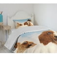 thumbnail image 4 of Ambesonne Funny Quilted Bedspread Set 2 Pcs, Cats Dogs in Sky Clouds, Twin Size, Multicolor, 4 of 6