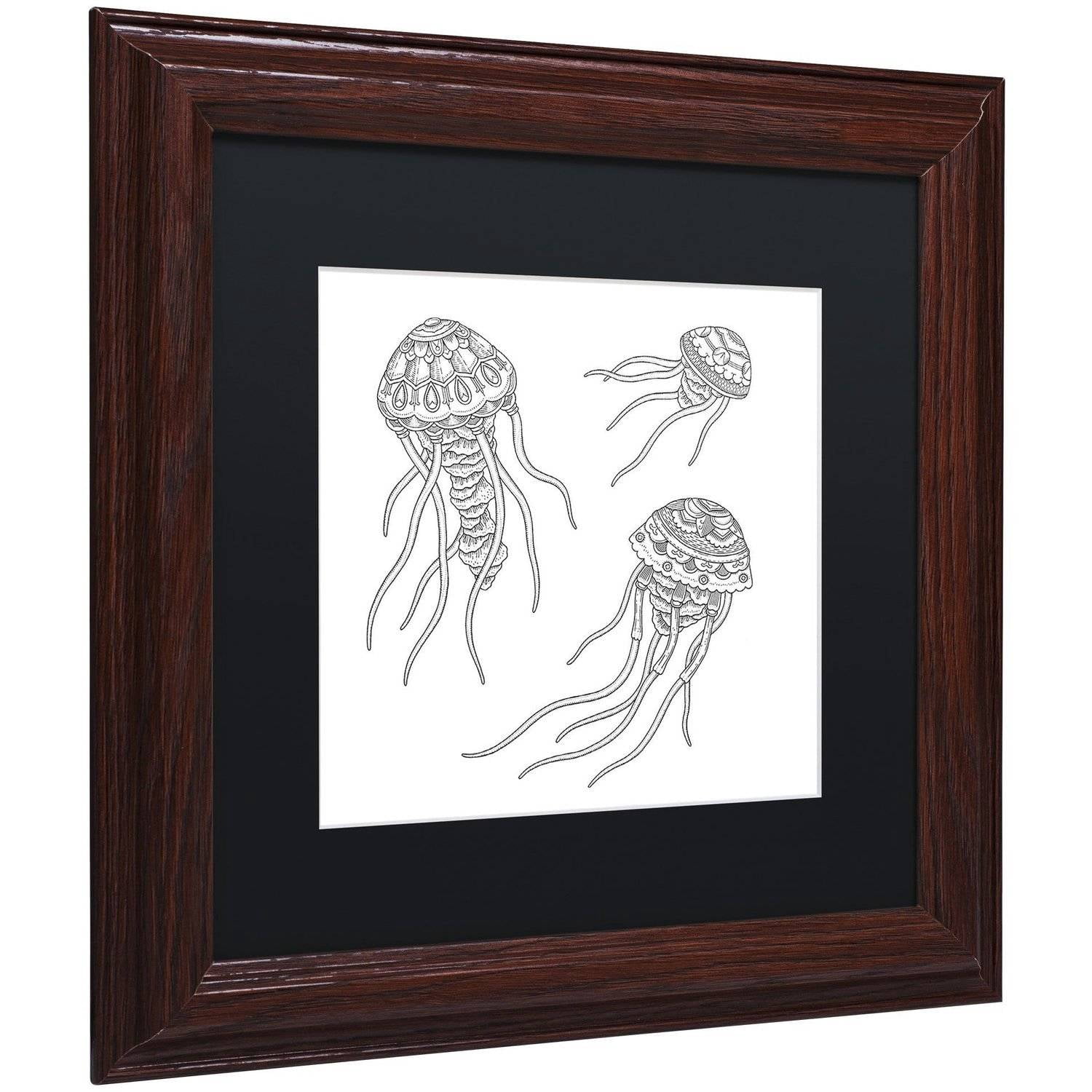 Trademark Fine Art 'Jellyfish Family' Canvas Art by Filippo Cardu Black Matte, Wood Frame