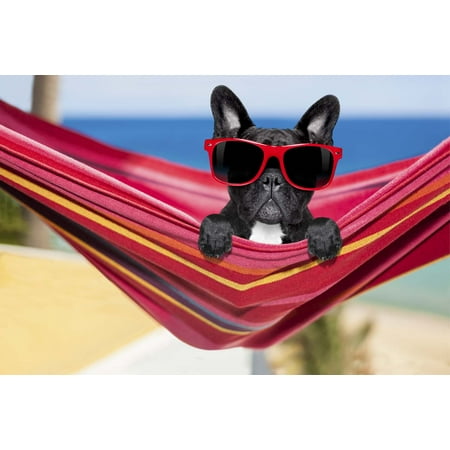 Mainstays Chillin' Dog 100% Cotton Oversized Beach (Best Oversized Beach Towels)